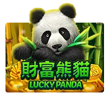 Lucky Panda - GECKO158